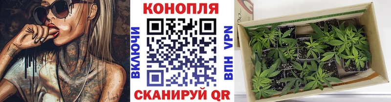 Где можно купить наркотики Бийск АМФЕТАМИН COCAIN СОЛЬ Гашиш Конопля