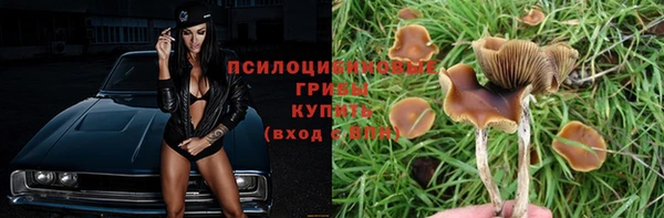 прущие крисы Михайлов