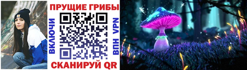 Галлюциногенные грибы Cubensis блэк спрут tor Бийск цены наркотик